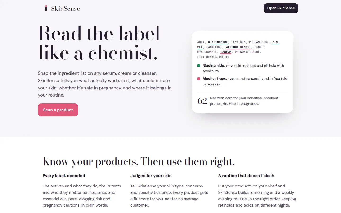 SkinSense on the web